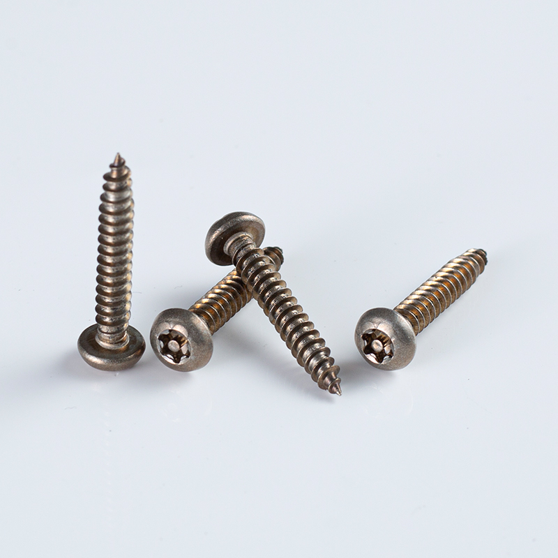 Tornillo autorroscante con recubrimiento de bronce, cabeza alomada y accionamiento Torx resistente a manipulaciones