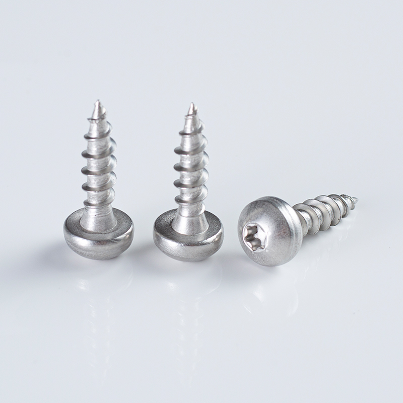 10-16×16-25 SS304 Tornillo autorroscante de acero inoxidable de cabeza tipo pan con huella Torx